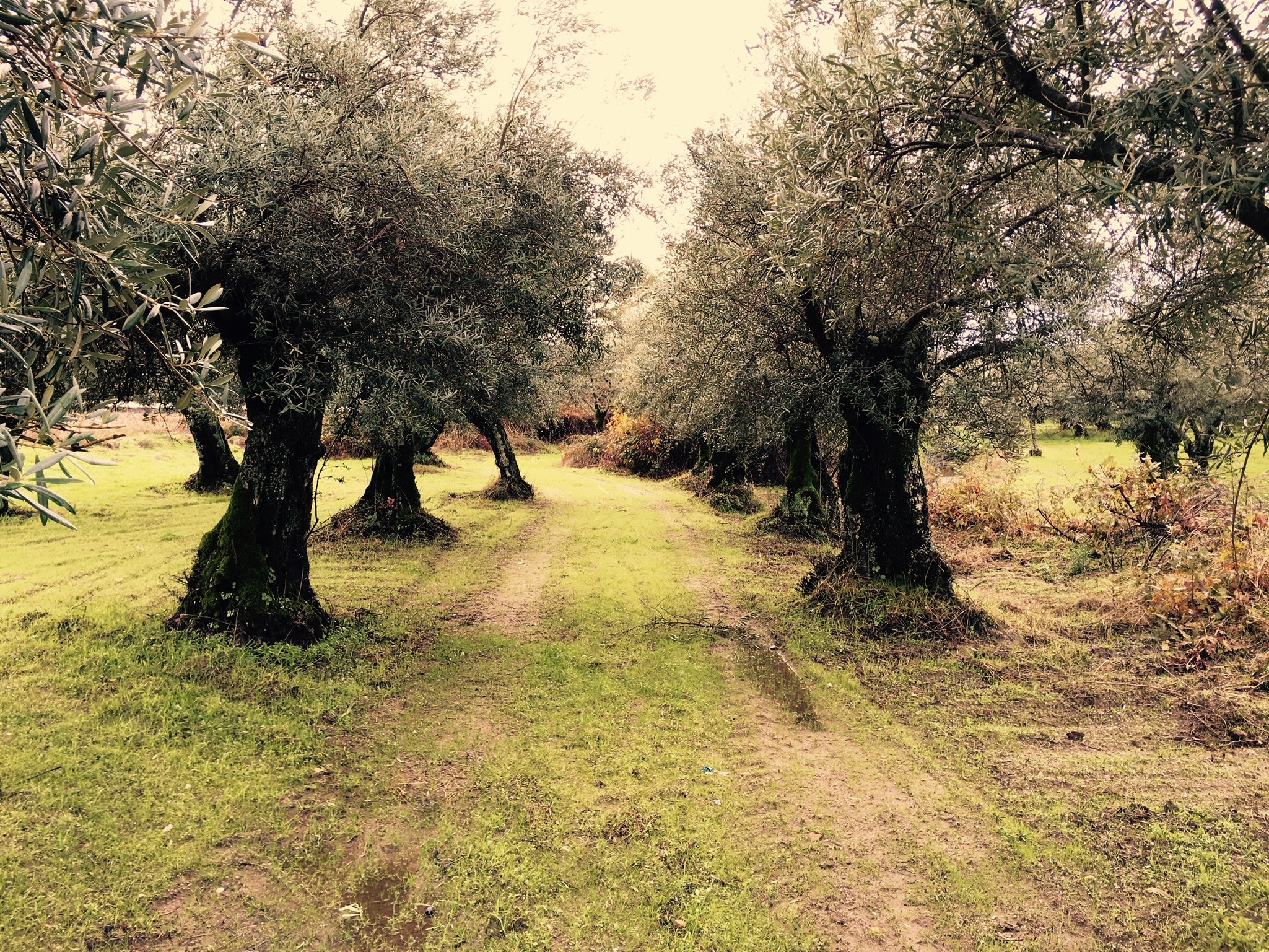 Extremadura consciente – Experiencias guiadas